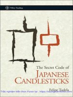 Candle stick japanese