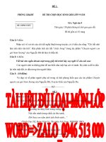 Văn 9  đề hsg văn học trung đại