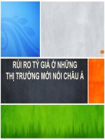 Tiểu Luận - Thanh Toán Quốc Tế - Đề Tài - Rủi Ro Tỷ Giá Ở Những Thị Trường Mới Nổi Châu Á