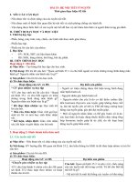 Bài 35  hệ nội tiết ở người