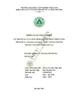 Sự tham gia của cộng đồng trong phát triển loài thảo quả (amomum aromaticum roxb ) tại xã nậm xé, huyện văn bàn, tỉnh lào cai