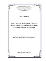 1303 Điều Tra Tình Hình Cỏ Dại Và Thực Trạng Phòng Trừ Trên Lúa Vụ Động Xuân 2016 – 2017 Tại Quảng Nam Trần Thị Hồng Luận Văn Đh Quảng Nam.pdf