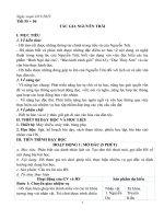 Giáo án ngữ văn 10 sách kết nối tri thức với cuộc sống, kì 2 soạn chi tiết, chất lượng