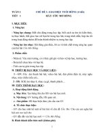 Giáo án âm nhạc 8 sách chân trời sáng tạo, học kì 1 đủ 4 chủ đề