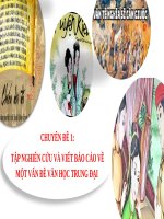 Giáo án chuyên đề ngữ văn lớp 11 sách chân trời sáng tạo, chuyên đề 1 tập nghiên cứu và viết báo các về một vấn đề văn học trung đại việt nam