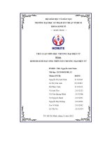 Tiểu luận môn học thương mại điện tử đề tài kinh doanh mật ong trên sàn thương mại điện tử