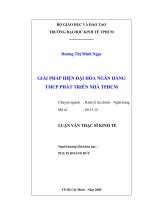 (Luận văn) giải pháp hiện đại hóa ngân hàng tmcp phát triể­n nhà tp hcm , luận văn thạc sĩ