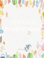 Giáo án chuyên đề ngữ văn lớp 11 sách chân trời sáng tạo, chuyên đề 3 đọc viết giới thiệu về một tác