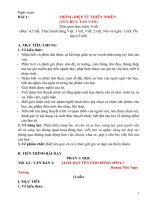 Giáo án ngữ văn lớp 11 sách chân trời sáng tạo, bài 1