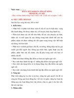 Giáo án ngữ văn lớp 11 sách chân trời sáng tạo, bài 5