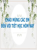Giáo án chuyên đề ngữ văn lớp 11 sách chân trời sáng tạo, chuyên đề 3 đọc viết giới thiệu về một tác g