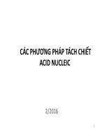 Kỹ thuật phân tử