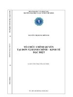 Tổ chức chính quyền tại đơn vị hành chính   kinh tế đặc biệt