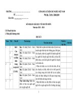 Kế hoạch giáo dục, phụ lục 1, 2,3 ngữ văn lớp 11 sách kết nối tri thức với cuộc sống)