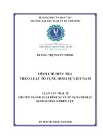 Đình chỉ điều tra theo luật tố tụng hình sự việt nam