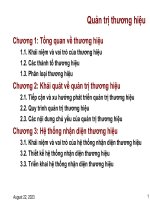 Bài Giảng Sở Hữu Trí Tuệ ( Combo Full Slides 6 Chương)