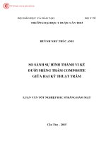 0079 so sánh sự hình thành vi kẽ dưới miếng trám composite giữa hai kỹ thuật trám