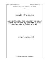 Ảnh Hưởng Của Các Loại Cốtsợi Khác Nhau Đến Cường Độ Chịu Nén Của Bêtông Cường Độ Siêucao