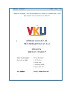 Bài báo cáo giữa kì môn marketing căn bản đề tài tập đoàn vingroup