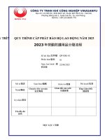 Quy Trình Cấp Phát Và Sử Dụng Đồ Bảo Hộ Lao Động Vinasanfu Năm 2023-Tt.doc