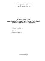 BÀI THU HOẠCH LỚP BD CDNN GVMN