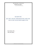 BÀI THU HOẠCH LỚP BD CDNN GVMN