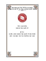 Tiểu Luận - Marketing Quốc Tế - Đề Tài - Phân Tích Chiến Lược Marketing Sản Phẩm Giày Của Nike Tại Việt Nam.docx