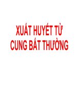Bài giảng xuất huyết tử cung bất thường