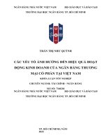 1294 Các Yếu Tố Ảnh Hưởng Đến Hiệu Quả Hoạt Động Kinh Doanh Của Nhtm Cp Tại Vn 2023.Docx