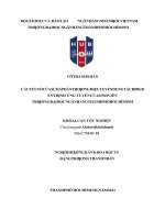 343 các yếu tố của sự hấp dẫn thương hiệu tuyển dụng tác động đến ý định ứng tuyển của sinh viên trường đại học nh tp hồ chí minh 2023