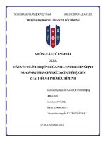 732 Các Yếu Tố Ảnh Hưởng Của Influencers Đến Ý Định Mua Sắm Sản Phẩm Chăm Sóc Da Của Thế Hệ Gen Z Tại Tp Hcm 2023.Docx