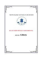 Bài Tập Nhóm -  Quản Trị Marketing - Đề Tài -  Gillette.docx