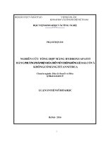 0748 nghiên cứu tổng hợp màng hydroxyapatit bằng phương pháp điện hóa trên nền thép không gỉ 316l có và không có màng titan nitrua luận văn