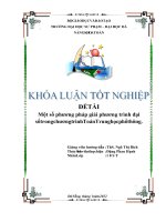 Một số phương pháp giải phương trình đại số trong chương trình Toán Trung học phổ thông.