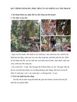 Quy Trình Chăm Sóc Sầu Riêng Sau Thu Hoạch.docx