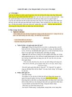 Chuyên đề  các phạm trù lý luận văn học