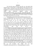 1013 nghiên cứu chế tạo và tính chất quan của vật liệu borate sr3b2o6eu3 và sr3b2o6eu2 luận văn tốt nghiệp