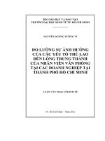 Luận văn thạc sĩ đo lường sự ảnh hưởng của các yếu tố thù lao đến lòng trung thành của nhân viên văn phòng tại các doanh nghiệp tại thành phố hồ chí minh , luận văn thạc sĩ