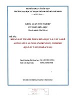 Khảo sát thành phần hóa học lá cây sakê artocapus altilis parkinson fosberg họ dâu tằm moraceae