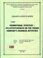 Promotional strategy   its effectiveness on the vissan companys business activities
