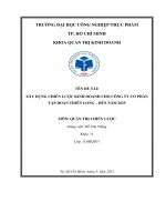 Xây dựng chiến lược kinh doanh cho công ty thiên long đến năm 2025