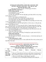 Chủ Đề Trường Mầm Non Lớp 4Tc 2023-2024.Doc