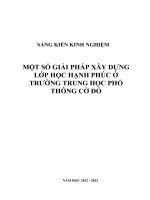 166. Một Số Giải Pháp Xây Dựng Lớp Học Hạnh Phúc Ở Trường Trung Học Phổ Thông Cờ Đỏ.pdf