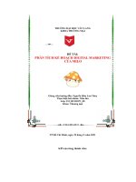 (Tiểu luận) đề tài phân tích kế hoạch digital marketing của milo