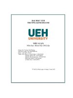 (Tiểu luận) tiểu luận môn học khoa học dữ liệu chọn bộ dữ liệu cần phân tích, mô tả bộ dữ liệu, mục tiêu phân tích