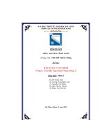 (Tiểu luận) đề tài báo cáo tài chính công ty cổ phần tập đoàn nhựa đông á