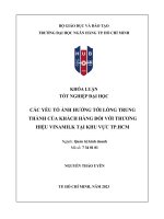 Các yếu tố ảnh hưởng tới lòng trung thành của khách hàng đối với thương hiệu vinamilk tại khu vực tphcm