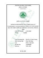 Đánh giá sinh trưởng rừng trồng keo lai (acaciamangium x acacia auriculiformis) theo các tuổi tại khu bảo tồn thiên nhiên kẻ gỗ huyện cẩm xuyên, tỉnh hà tĩnh