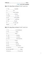 30 bản unit 1  my new school