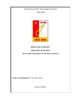 Thiết kế hệ thống CIP cho nhà máy nấu bia
